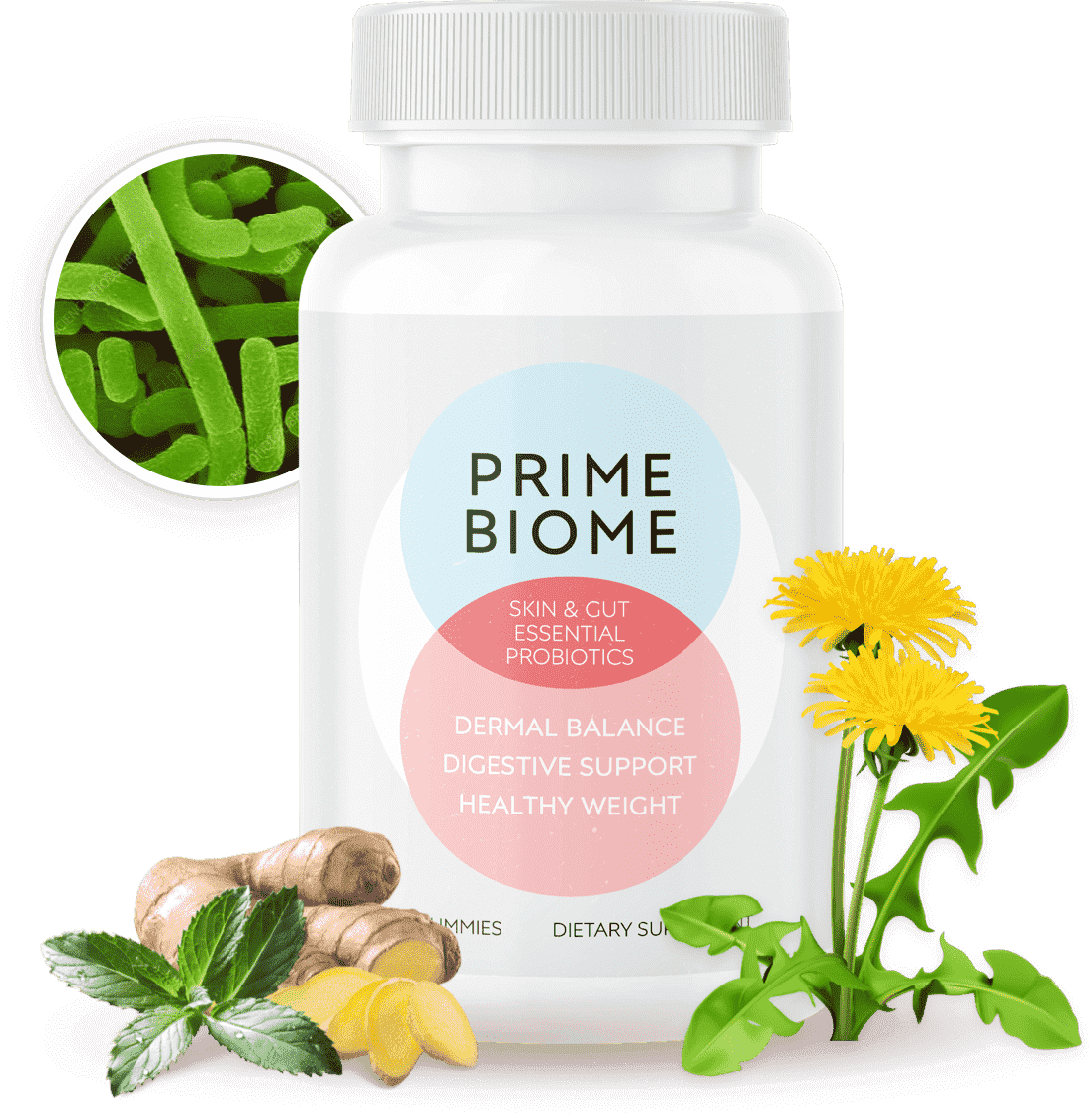PrimeBiome gummies